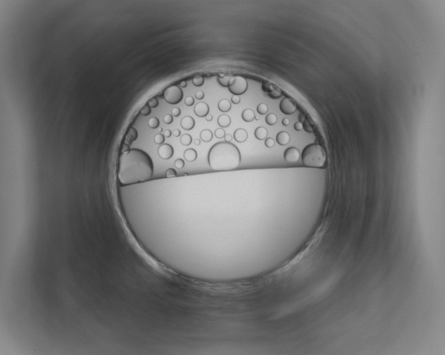 X0000111931437200908171227