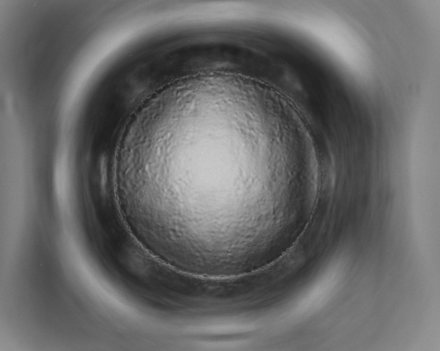 X0000111931439200908171228