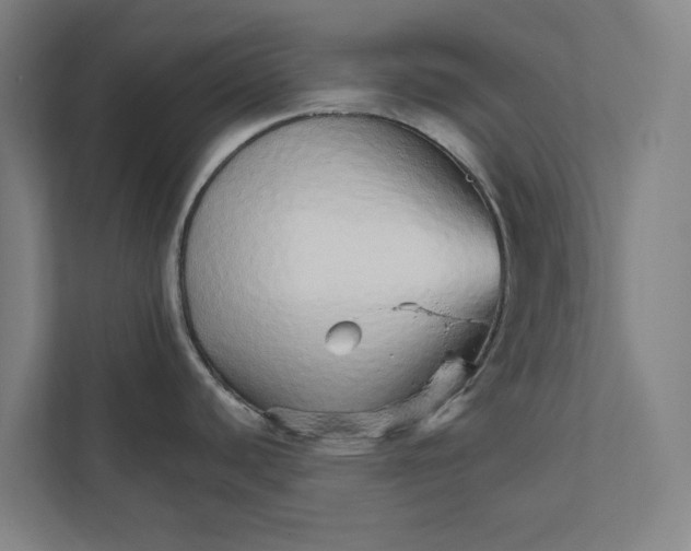 X0000111931440200908171228