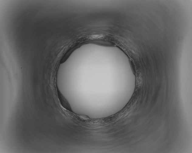 X0000111931441200908171227