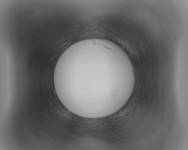 X0000111931444200908171227