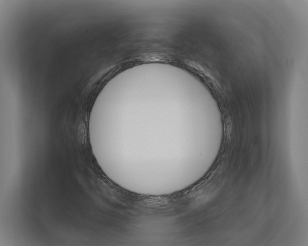 X0000111931446200908171227