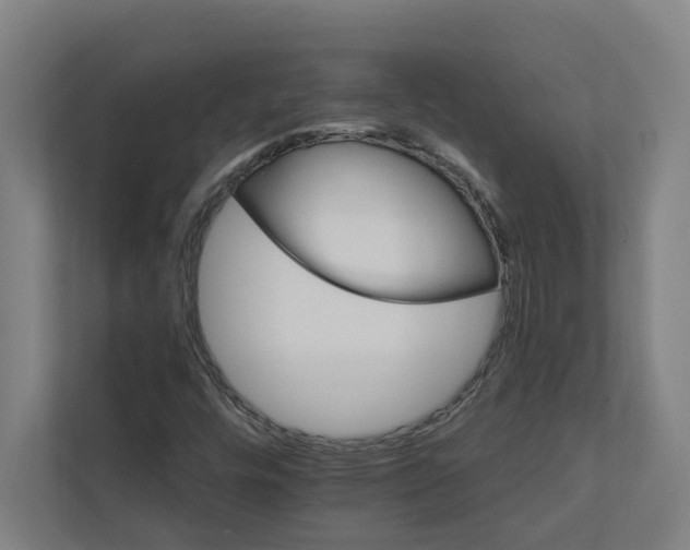 X0000111931448200908171227