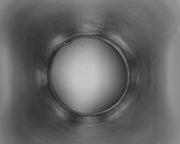 X0000111931451200908171227