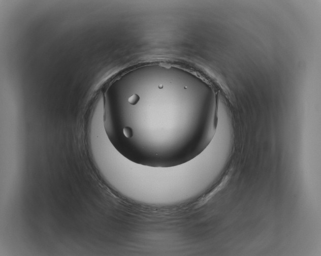 X0000111931453200908171227