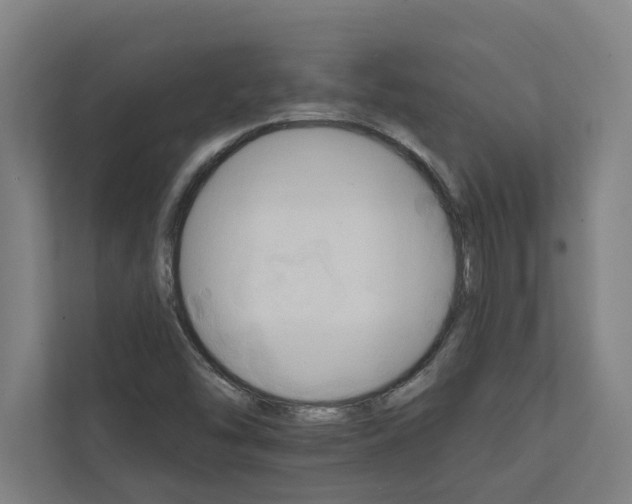 X0000111931454200908171227