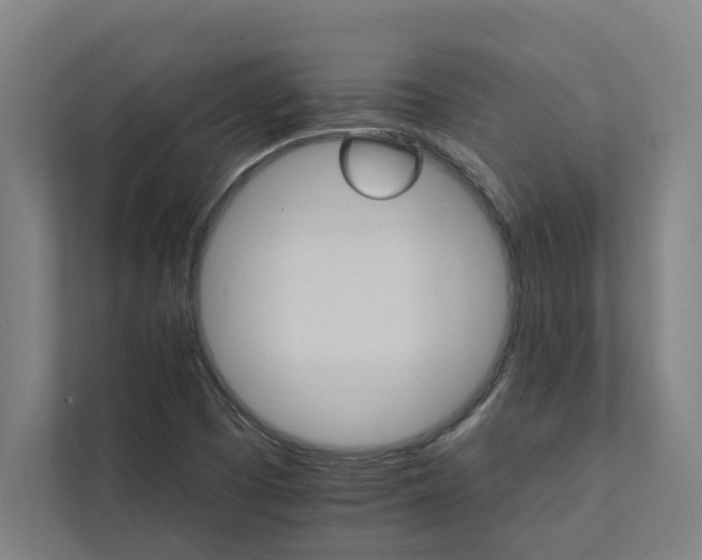 X0000111931457200908171227