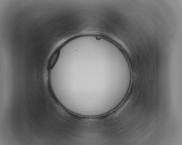 X0000111931461200908171227