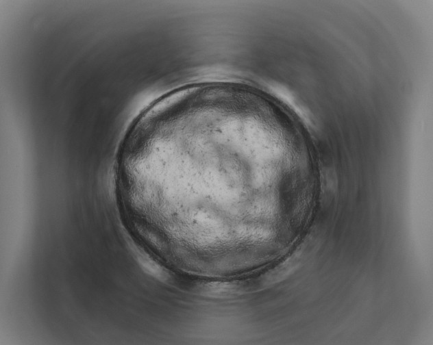 X0000111931463200908171227