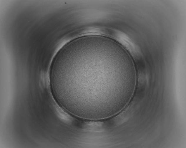 X0000111931466200908171227