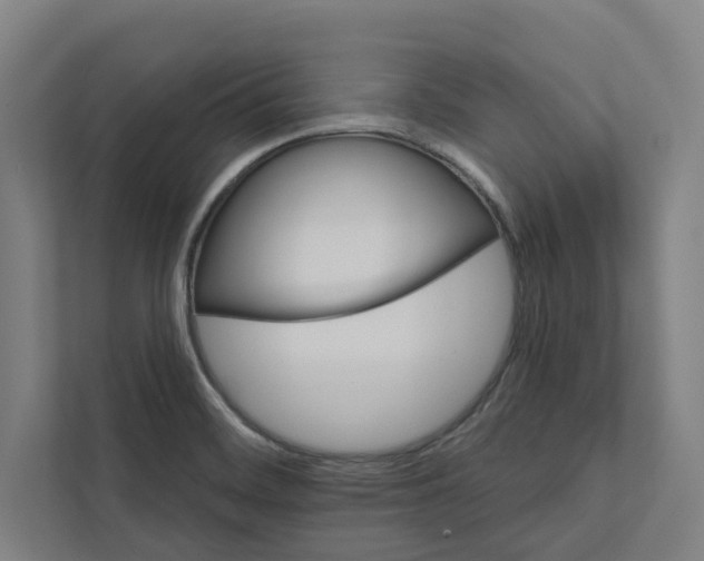 X0000111931468200908171227