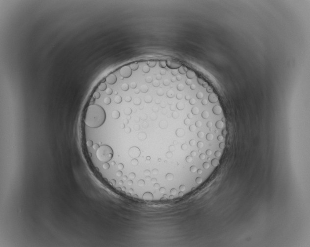 X0000111931471200908171227