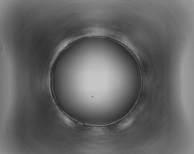 X0000111931480200908171226