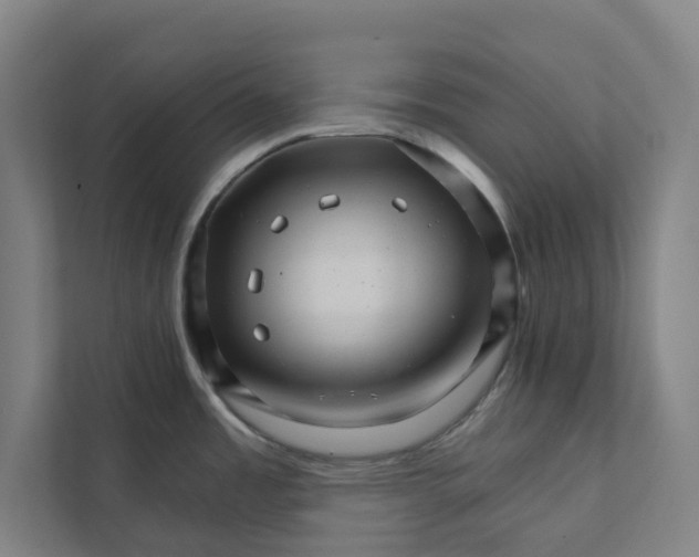 X0000111931485200908171226