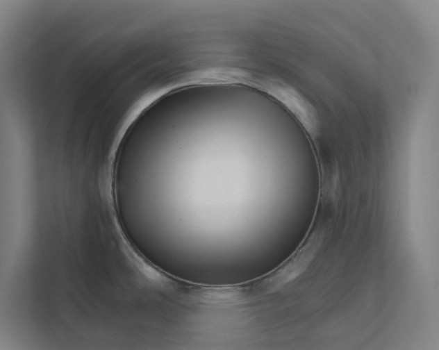 X0000111931486200908171226