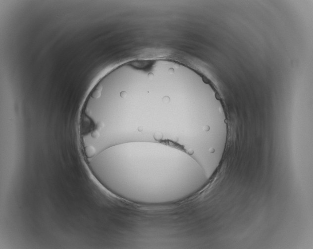 X0000111931487200908171226