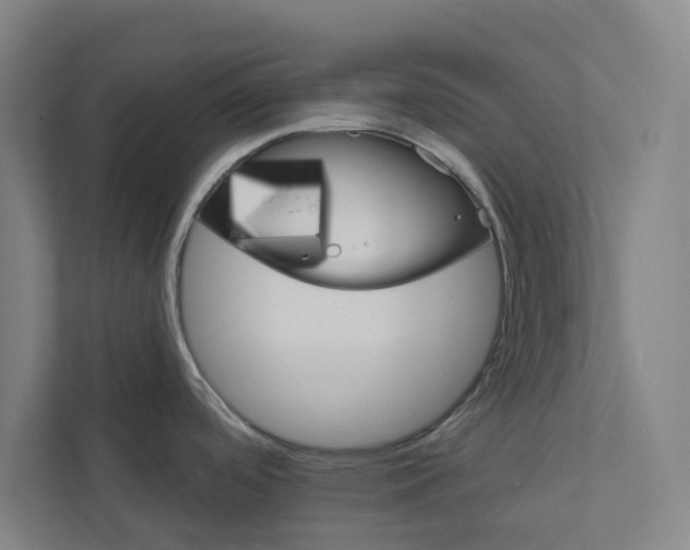 X0000111931488200908171226