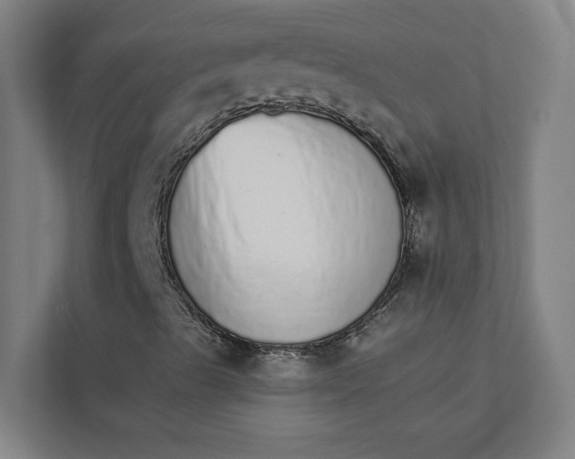 X0000111931489200908171226