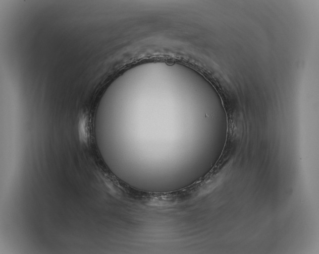 X0000111931490200908171226