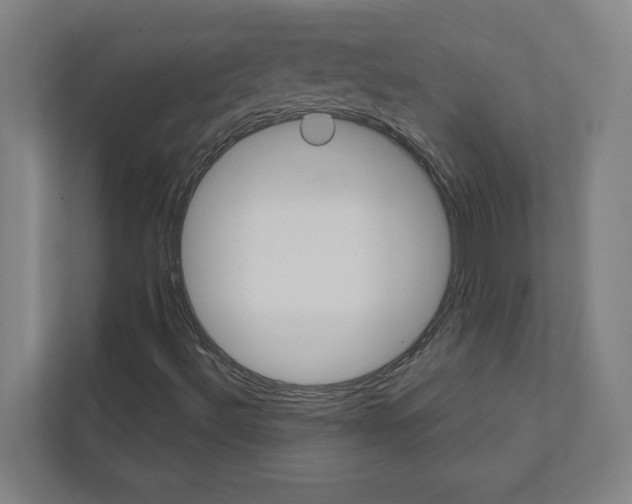 X0000111931492200908171226