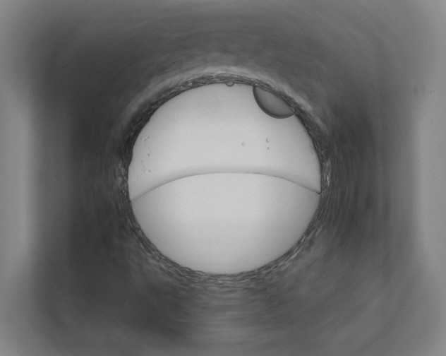 X0000111931495200908171226