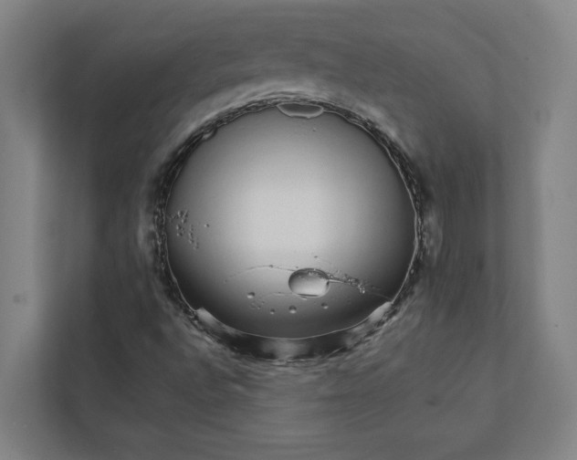 X0000111931496200908171226