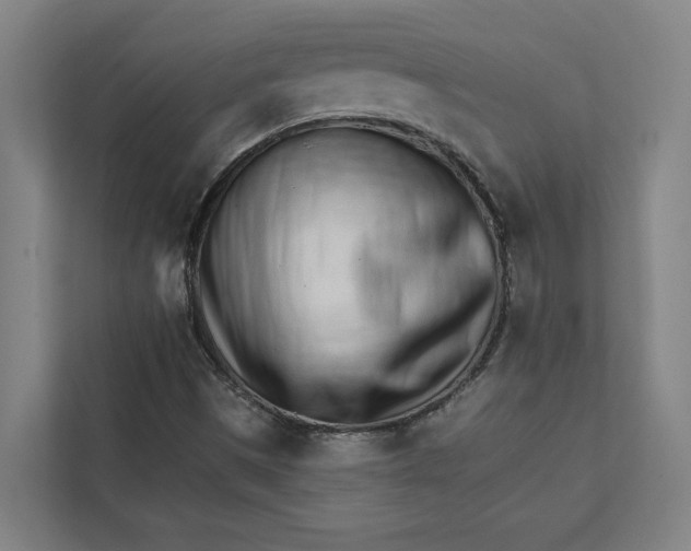 X0000111931497200908171226