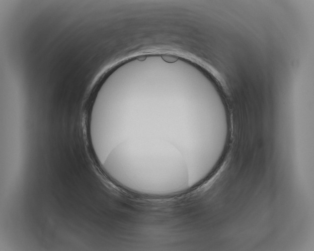 X0000111931498200908171226