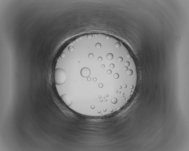 X0000111931499200908171226