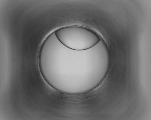 X0000111931500200908171226