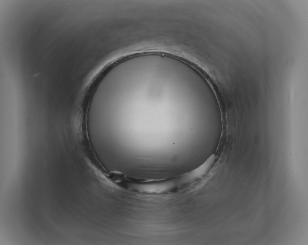 X0000111931502200908171226