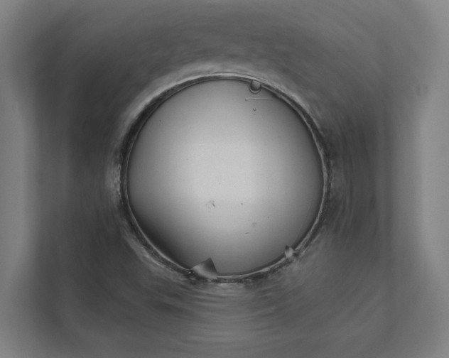 X0000111931503200908171226