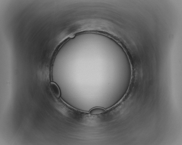 X0000111931505200908171226