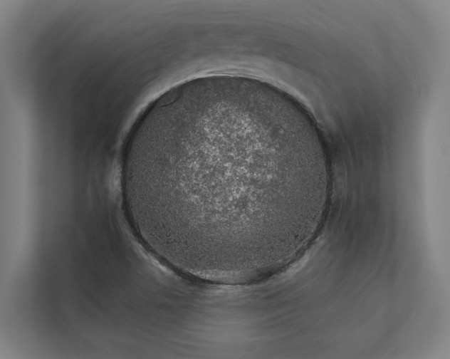 X0000111931506200908171226