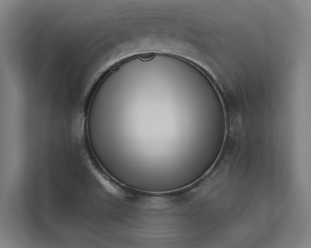 X0000111931507200908171226