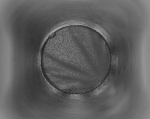 X0000111931508200908171226