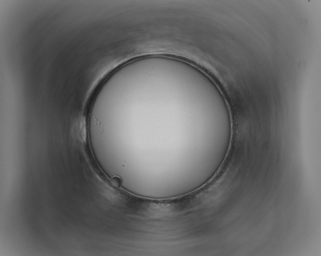 X0000111931509200908171226