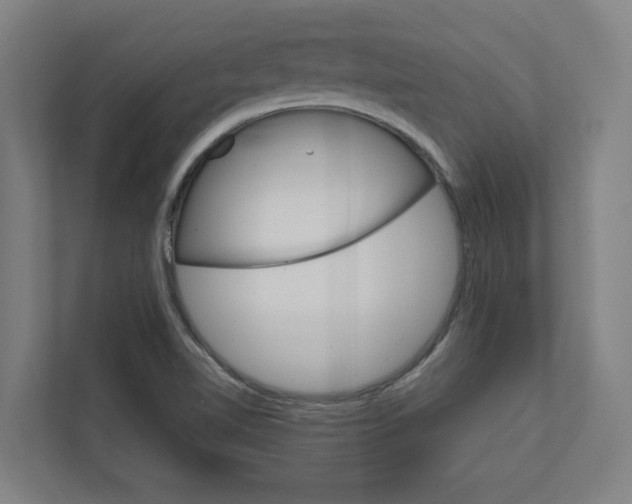 X0000111931510200908171226