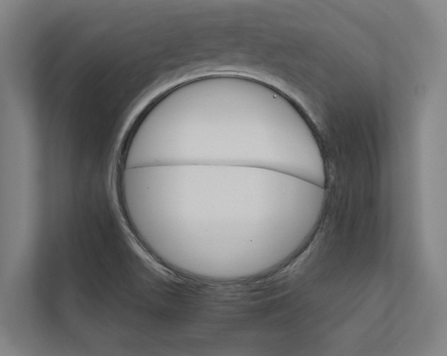 X0000111931511200908171226