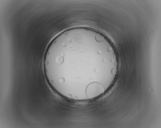 X0000111931513200908171226