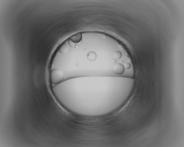 X0000111931517200908171226