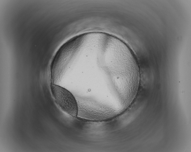 X0000111931519200908171226