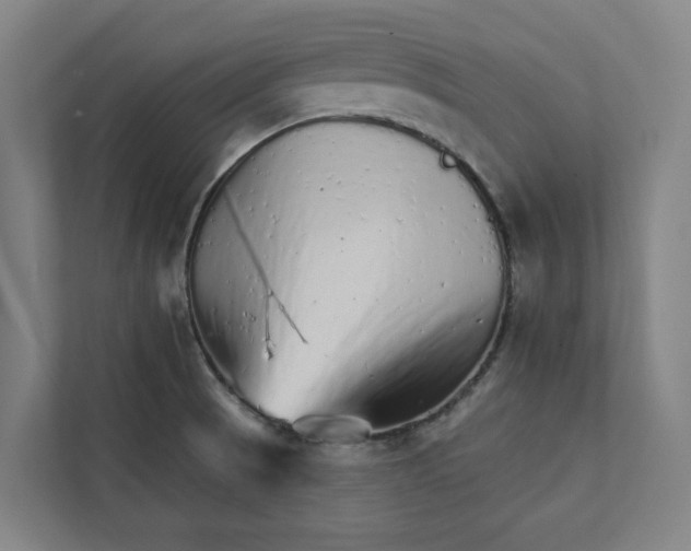 X0000111931521200908171226