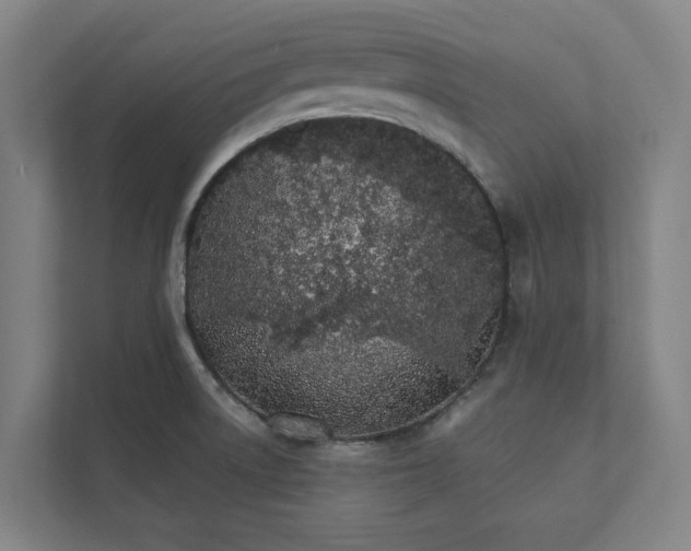 X0000111931522200908171226