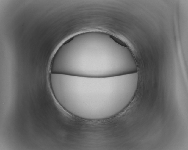 X0000111931524200908171226