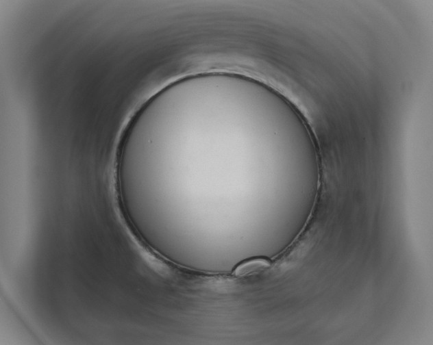 X0000111931525200908171226