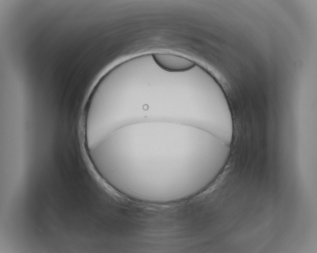 X0000111931526200908171226