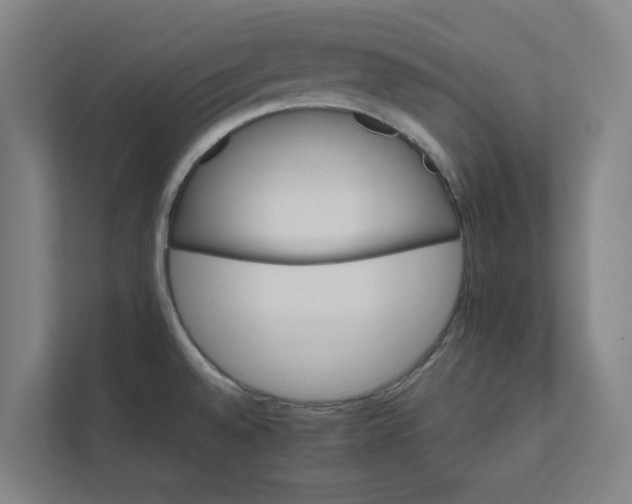 X0000111931528200908171226