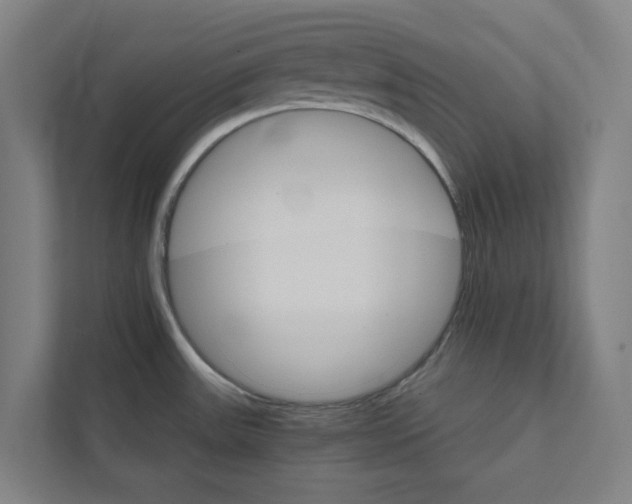 X0000111931531200908171226