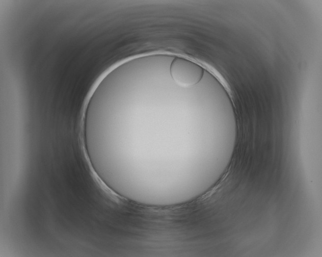 X0000111931532200908171226